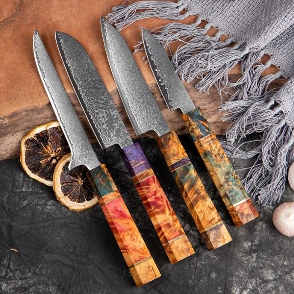 Unique Colourful Culinary Blade Set - Japanese Damascus Steel