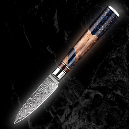 Sophisticate Knife Set 6-Pieces Japanese Damascus Steel